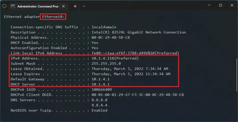 Команда ipconfig /all в Windows 11