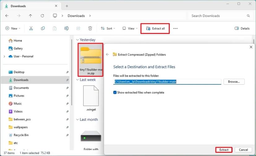 Извлечение Tiny11 Builder