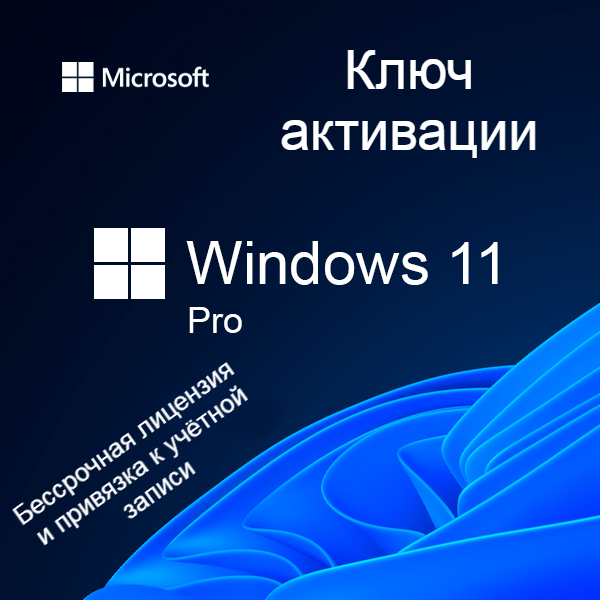windows 11 pro