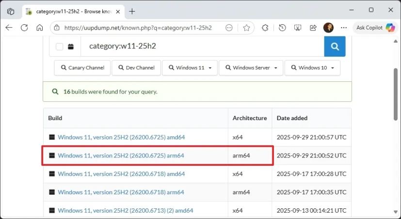Windows 11 arm64 build