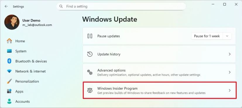 Windows 11 Insider Program settings