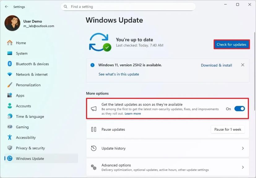 Windows 11 check and install updates