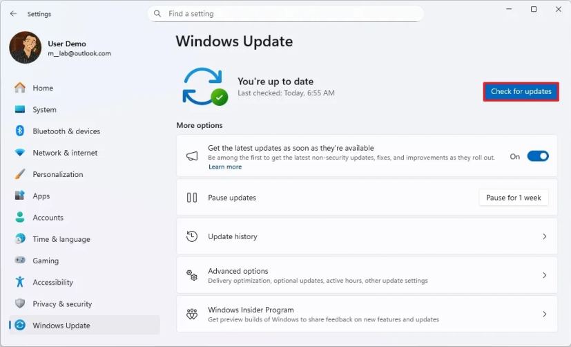 Windows 11 Insider build install
