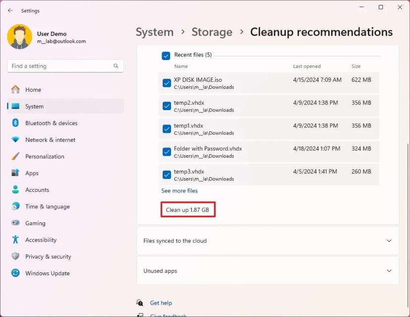 Windows 11 files cleanup