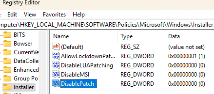 DisablePatch and DisableMSI registry parameters